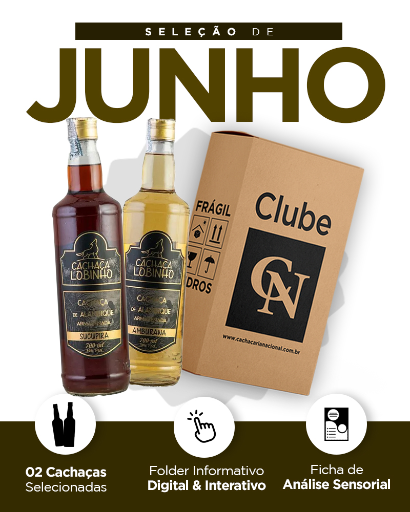 Kit detalhado - Mobile JUNHO